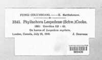 Phyllachora lespedezae image